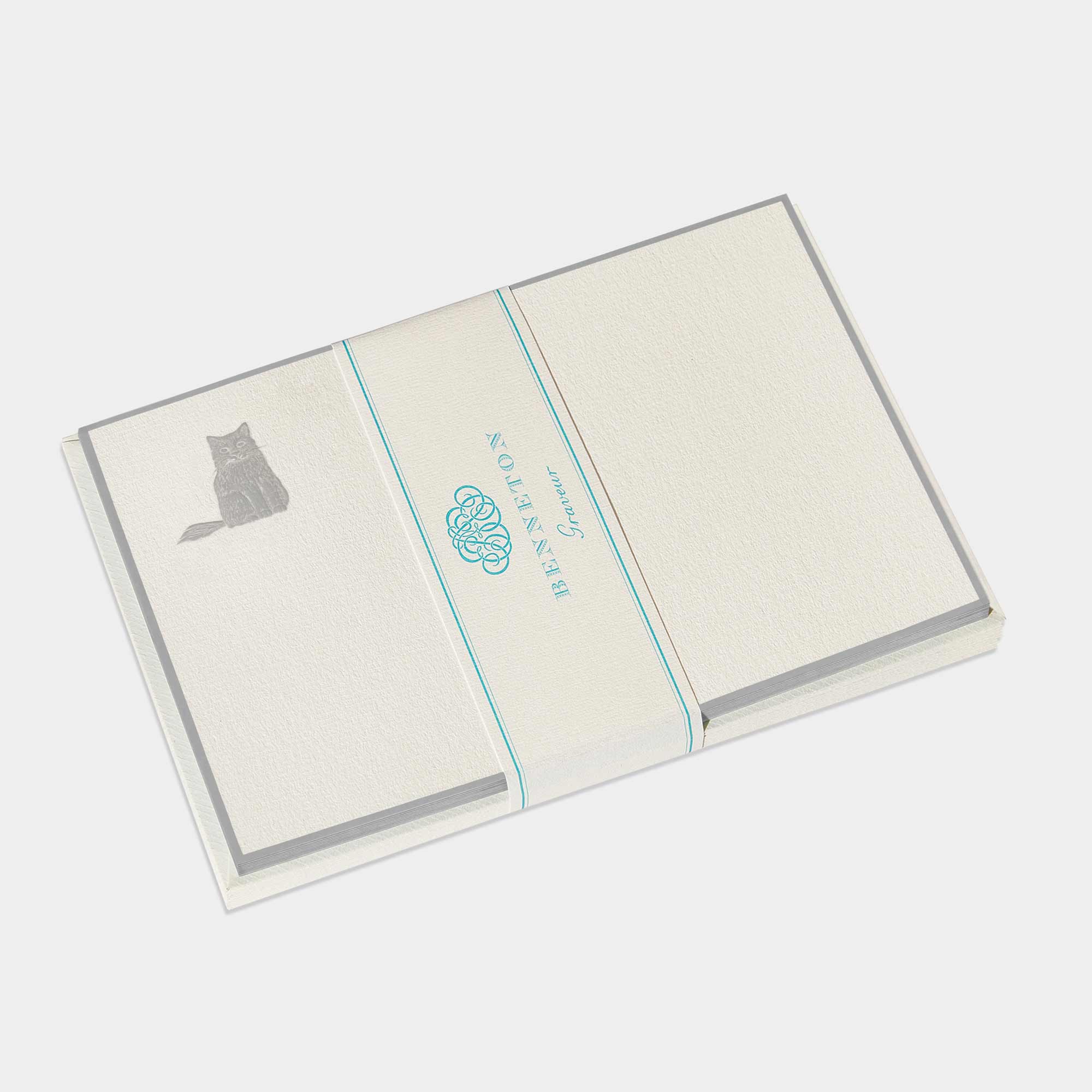 Cartes de correspondance de chat gris Benneton Graveur