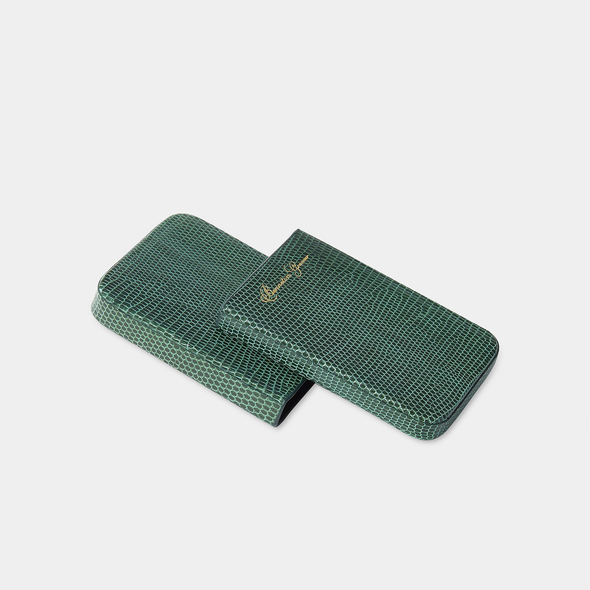 Coulisseau porte-cartes en cuir de lézard vert Benneton Graveur ouvert