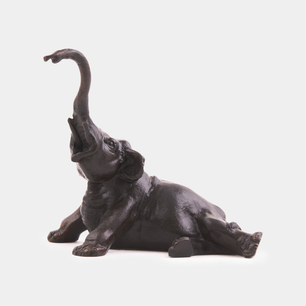 The Young Elephant