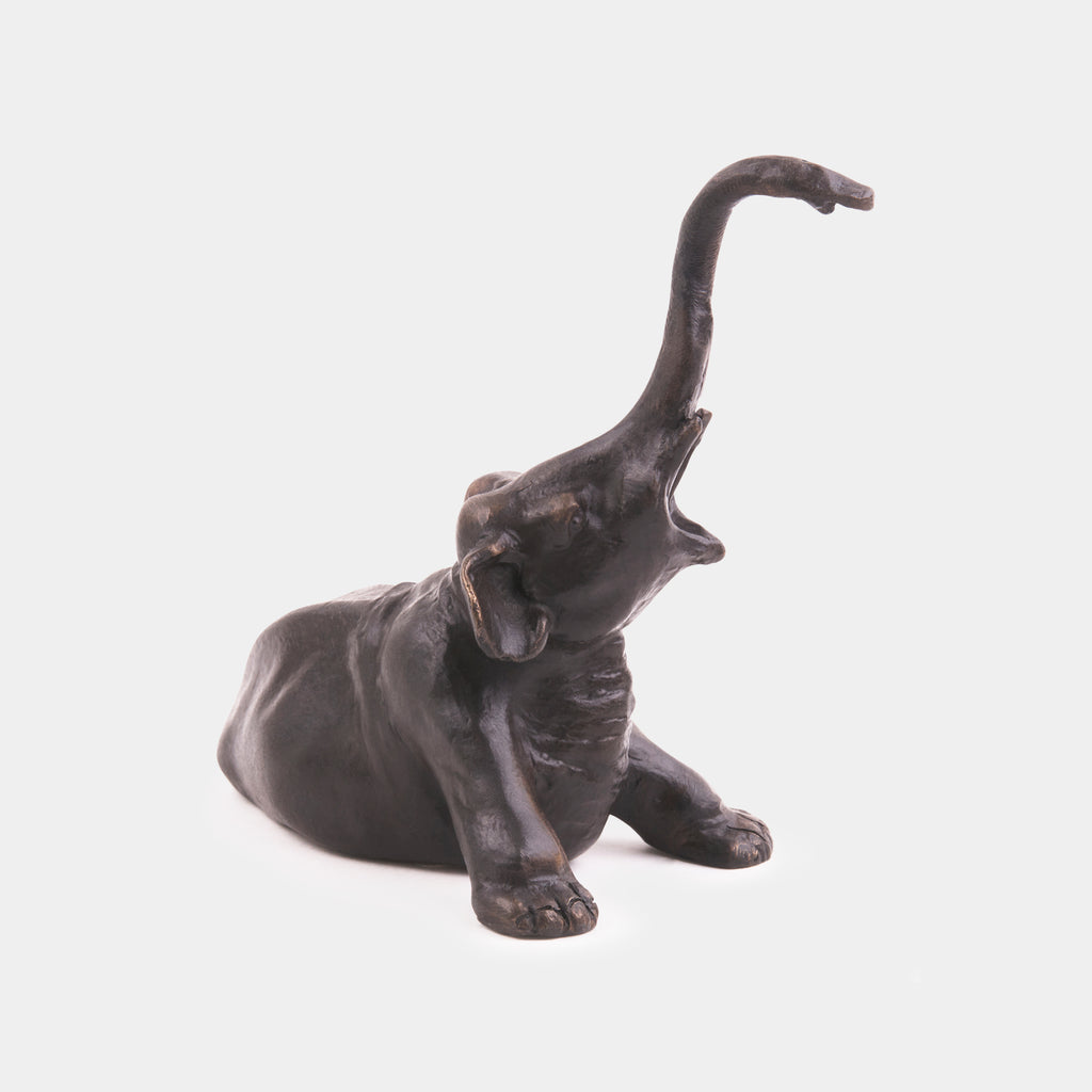 The Young Elephant