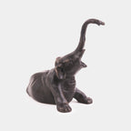 The Young Elephant