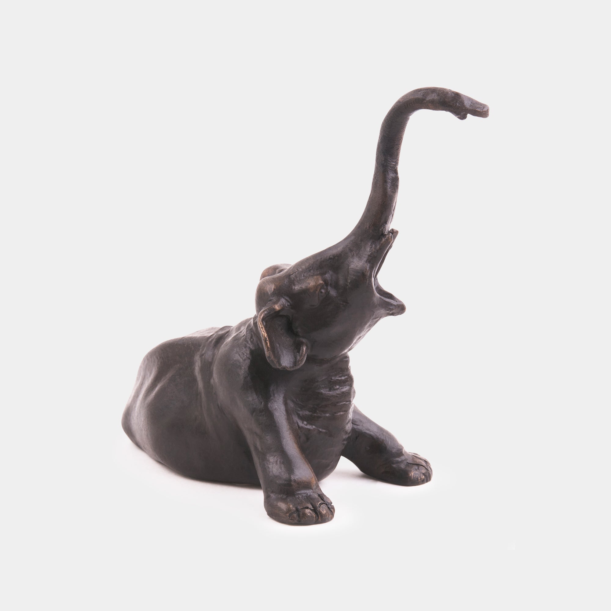 The Young Elephant