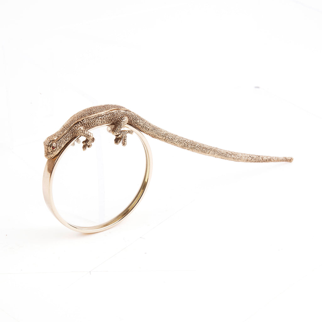 Salamander loop