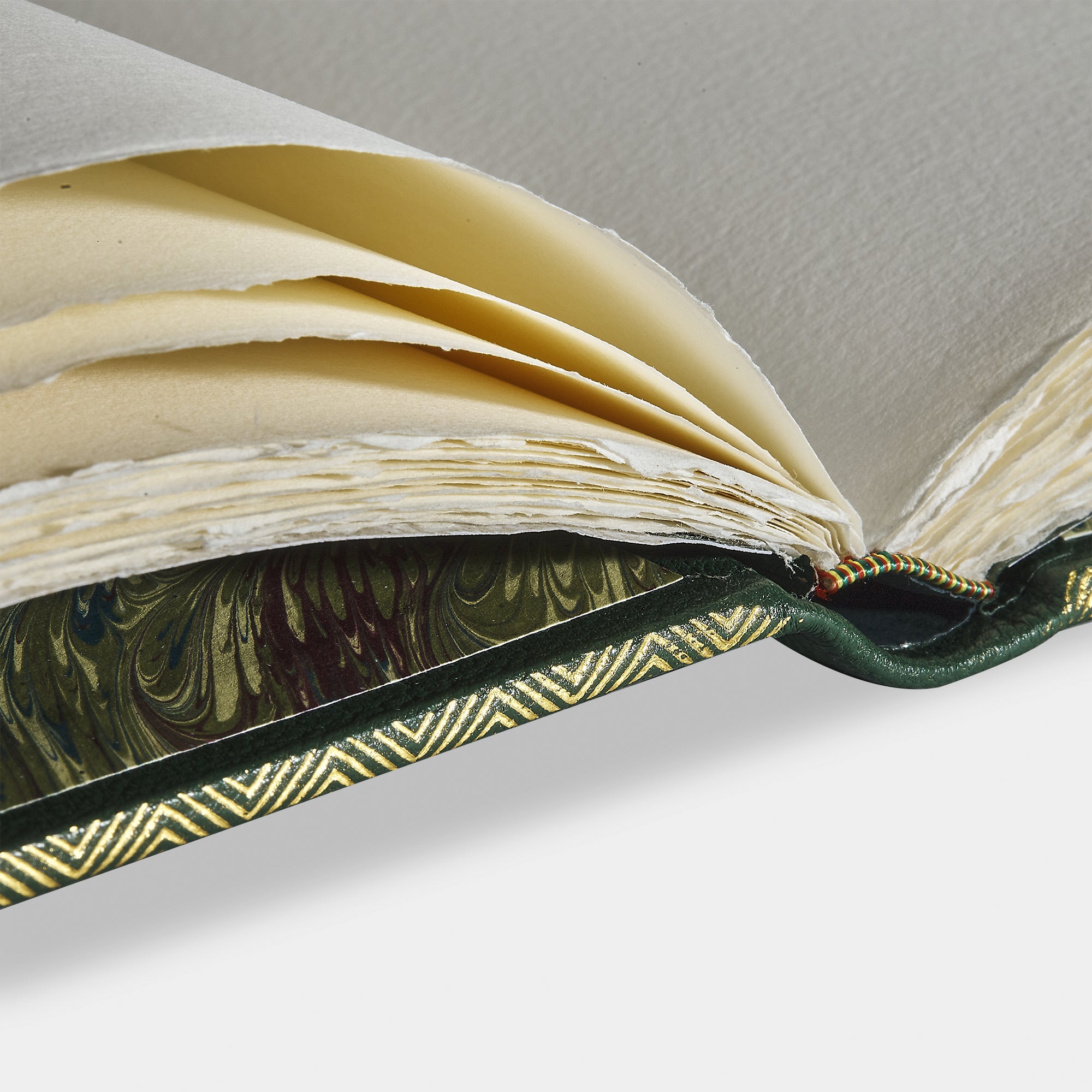 Zoom livre d'or cuir maroquin vert Benneton Graveur ouvert