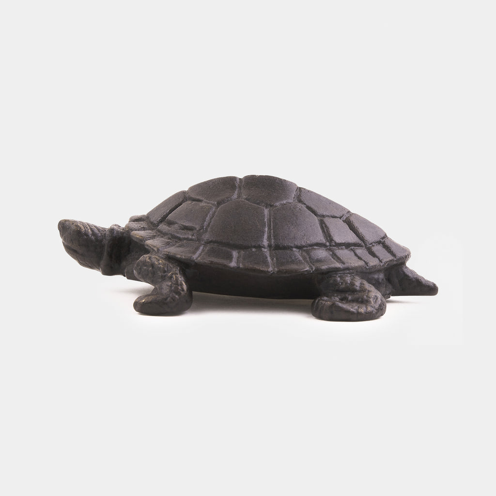 The Turtle