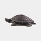 The Turtle