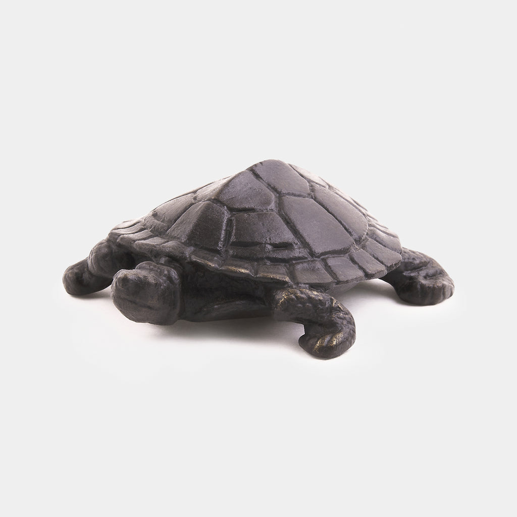 The Turtle