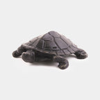 The Turtle