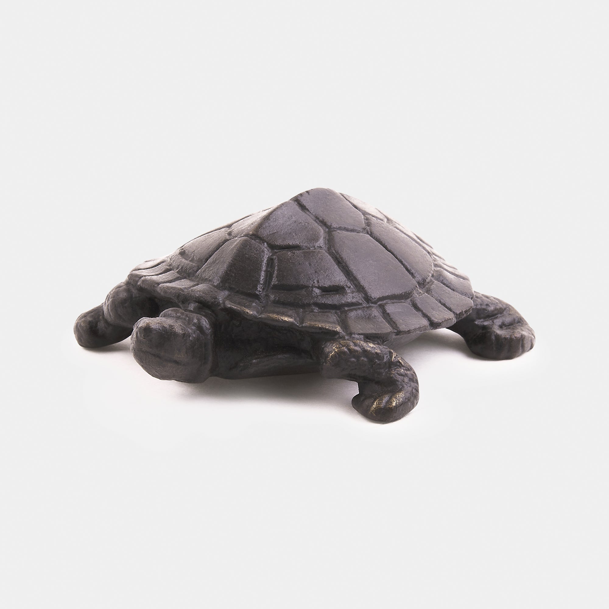 The Turtle