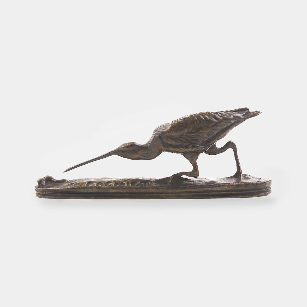 The Woodcock Hunting a Frog