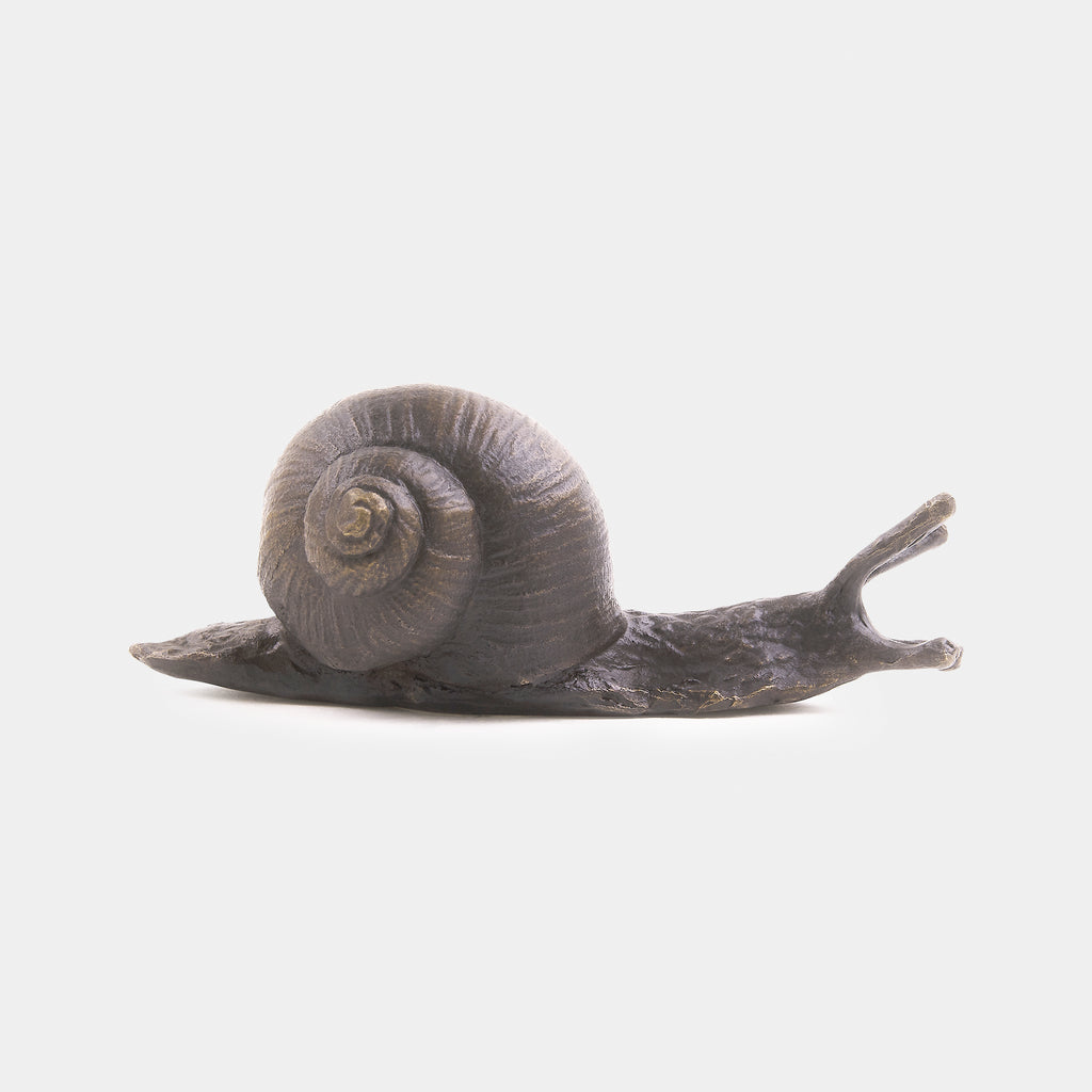 The Snail