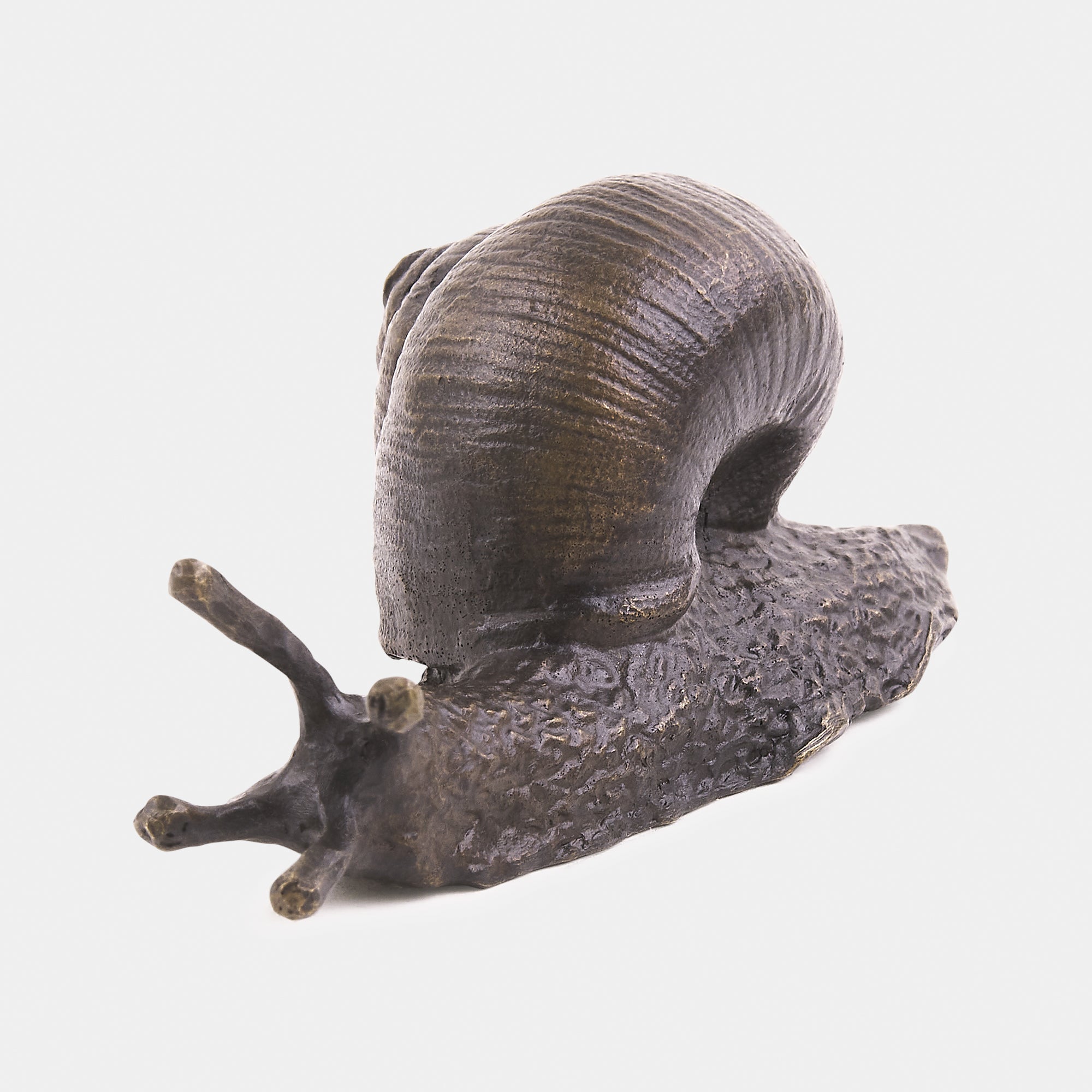 The Snail